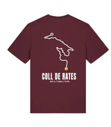 Coll de Rates - Profile